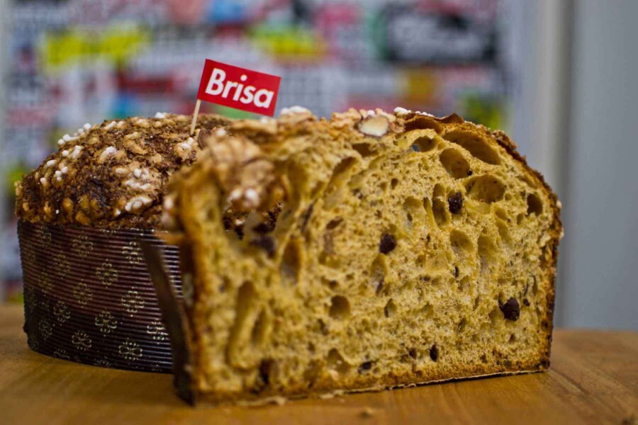 Panettone Bologna Forno Brisa